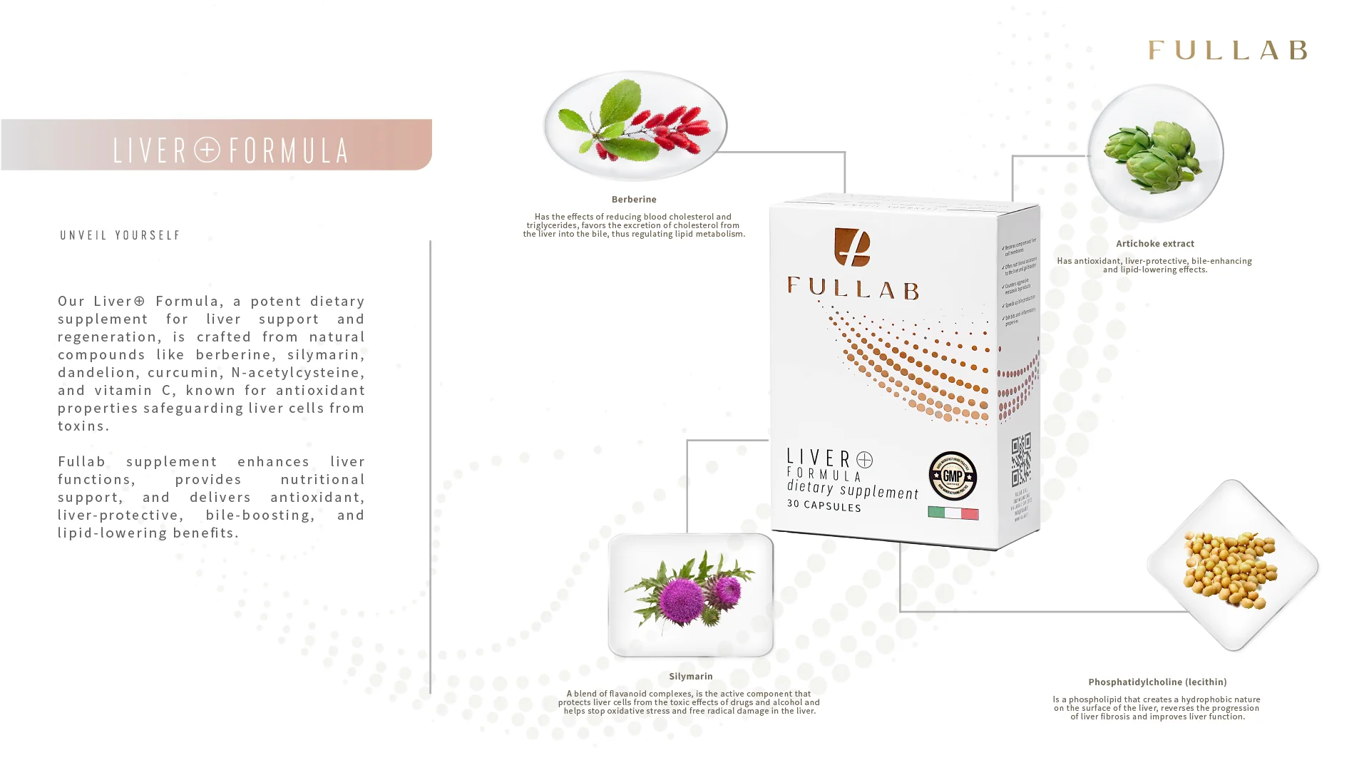 LIVER+FORMULA — изображение 3